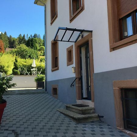 Apartamento Les Magnolias En Alsace - Meuble De Tourisme 3 Etoiles Barembach Exterior foto