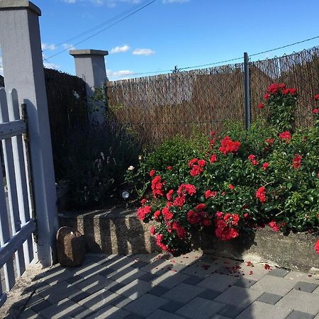 Apartamento Les Magnolias En Alsace - Meuble De Tourisme 3 Etoiles Barembach Exterior foto