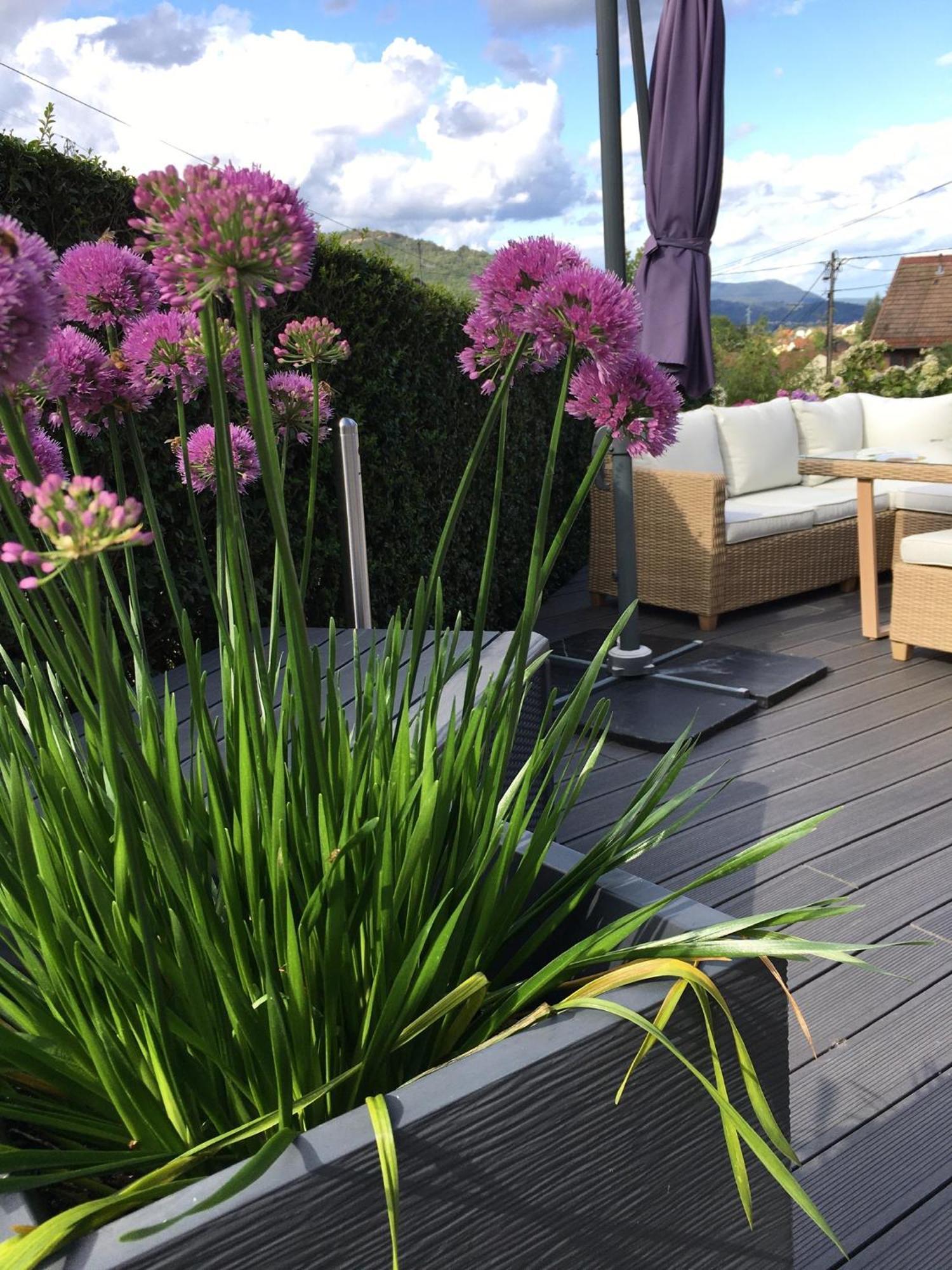 Apartamento Les Magnolias En Alsace - Meuble De Tourisme 3 Etoiles Barembach Exterior foto