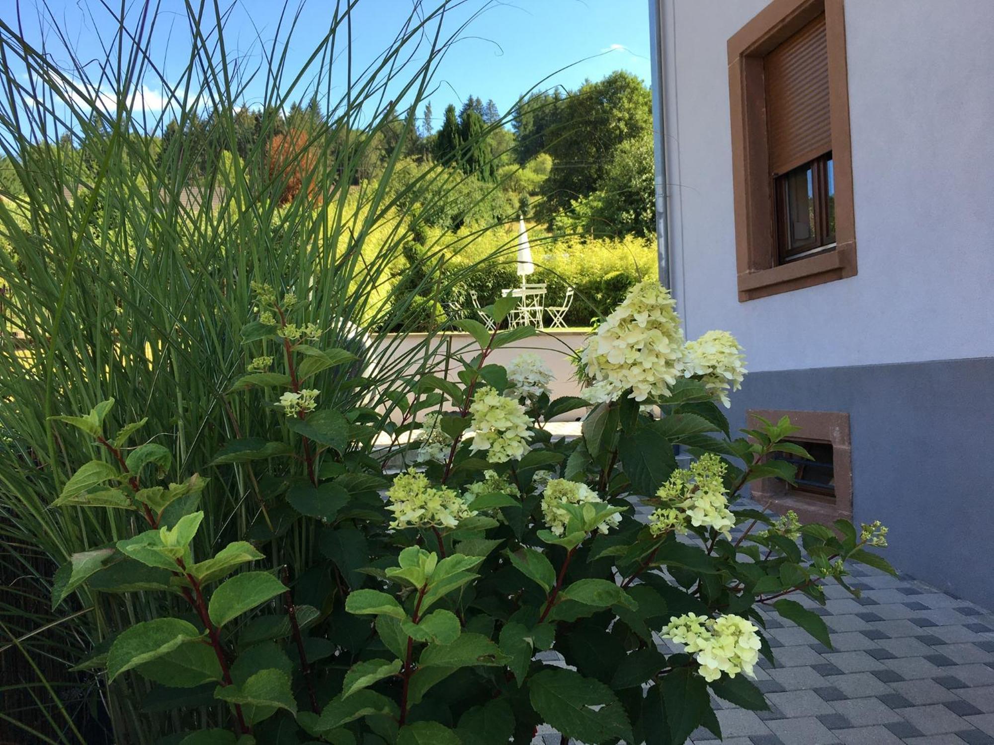 Apartamento Les Magnolias En Alsace - Meuble De Tourisme 3 Etoiles Barembach Exterior foto