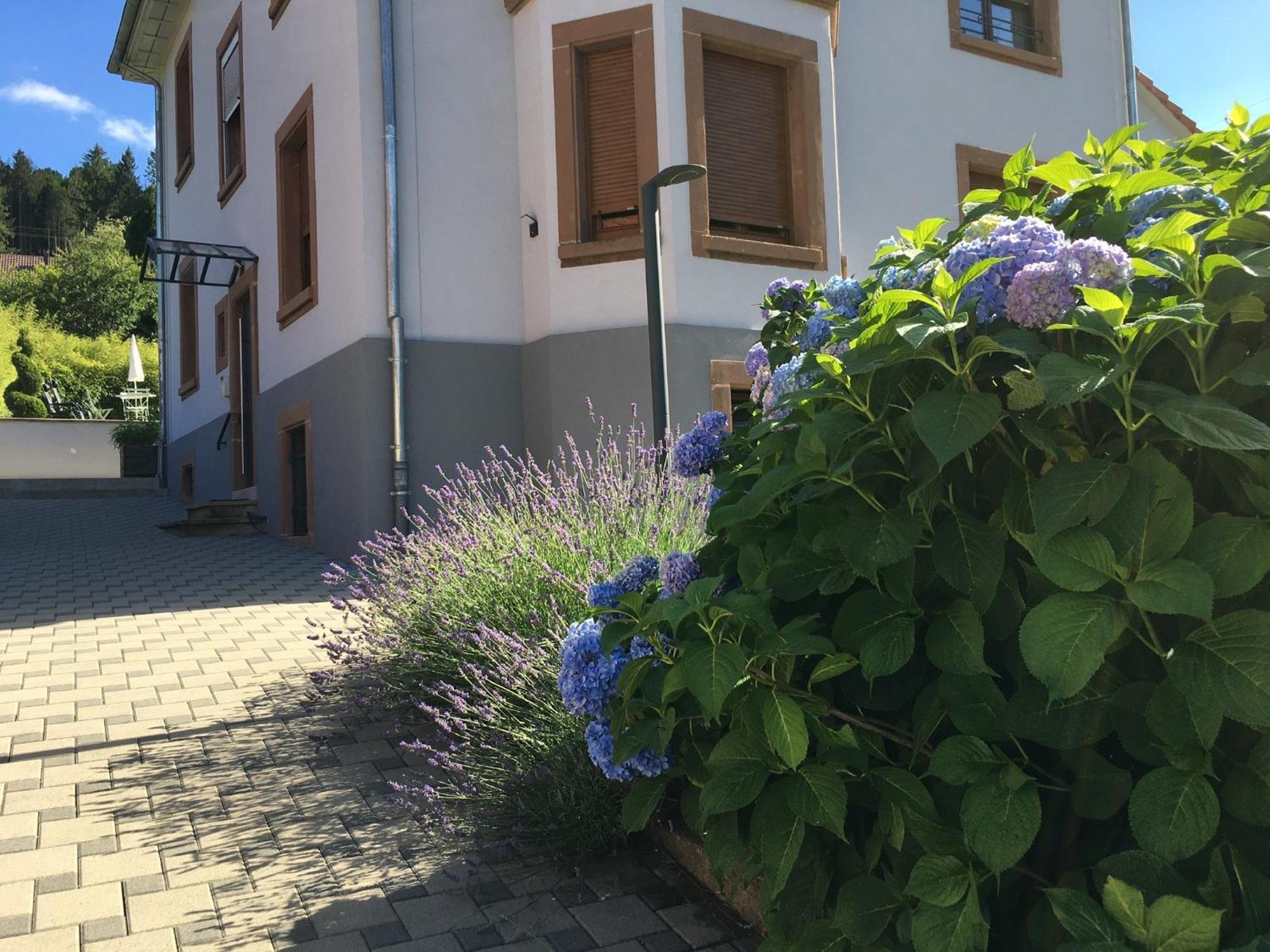 Apartamento Les Magnolias En Alsace - Meuble De Tourisme 3 Etoiles Barembach Exterior foto