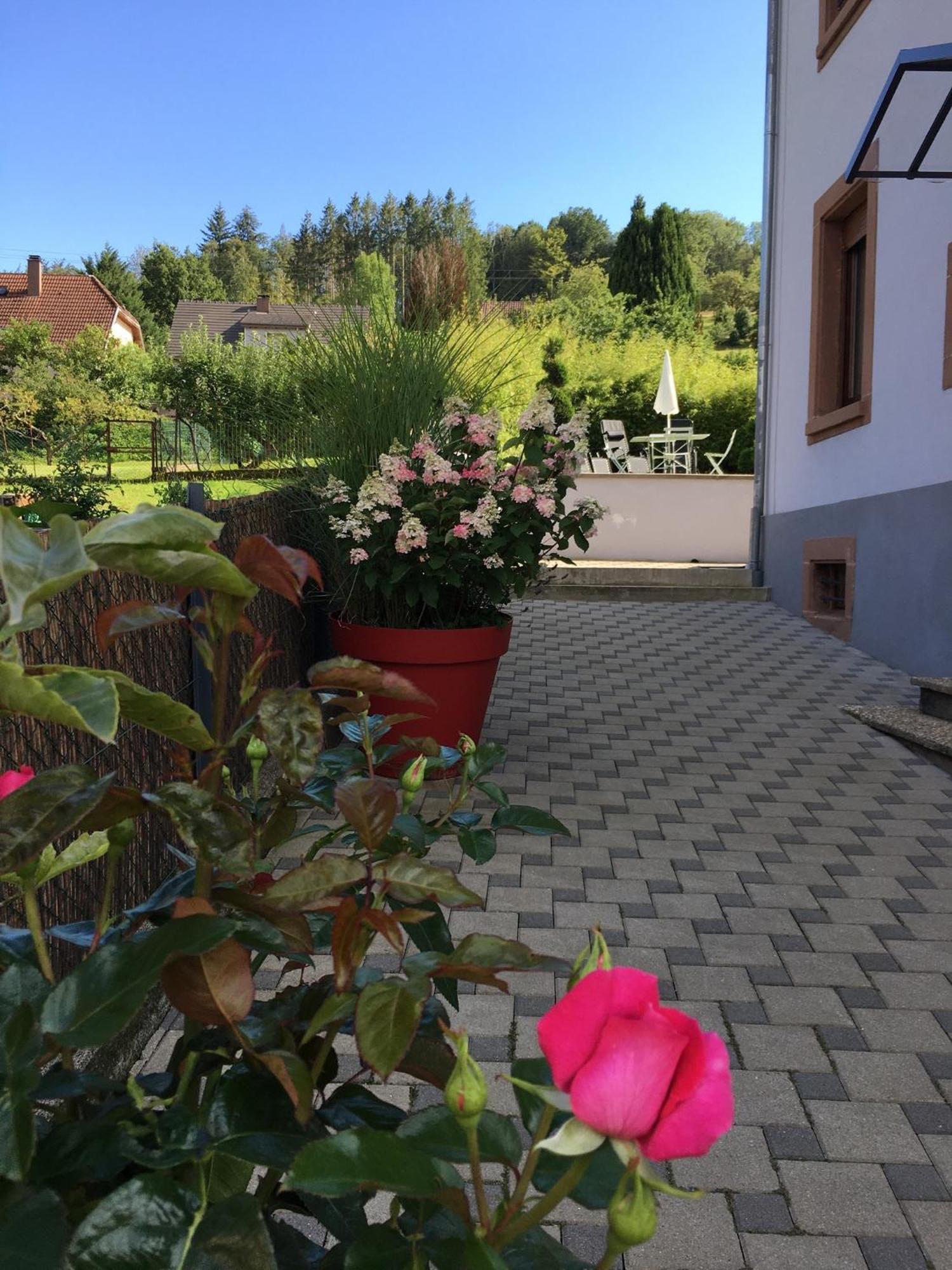 Apartamento Les Magnolias En Alsace - Meuble De Tourisme 3 Etoiles Barembach Exterior foto