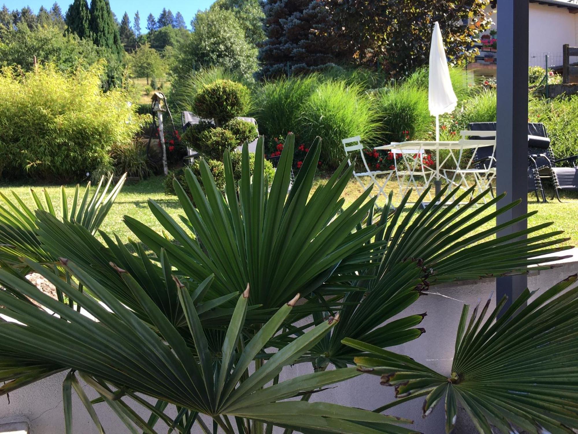 Apartamento Les Magnolias En Alsace - Meuble De Tourisme 3 Etoiles Barembach Exterior foto