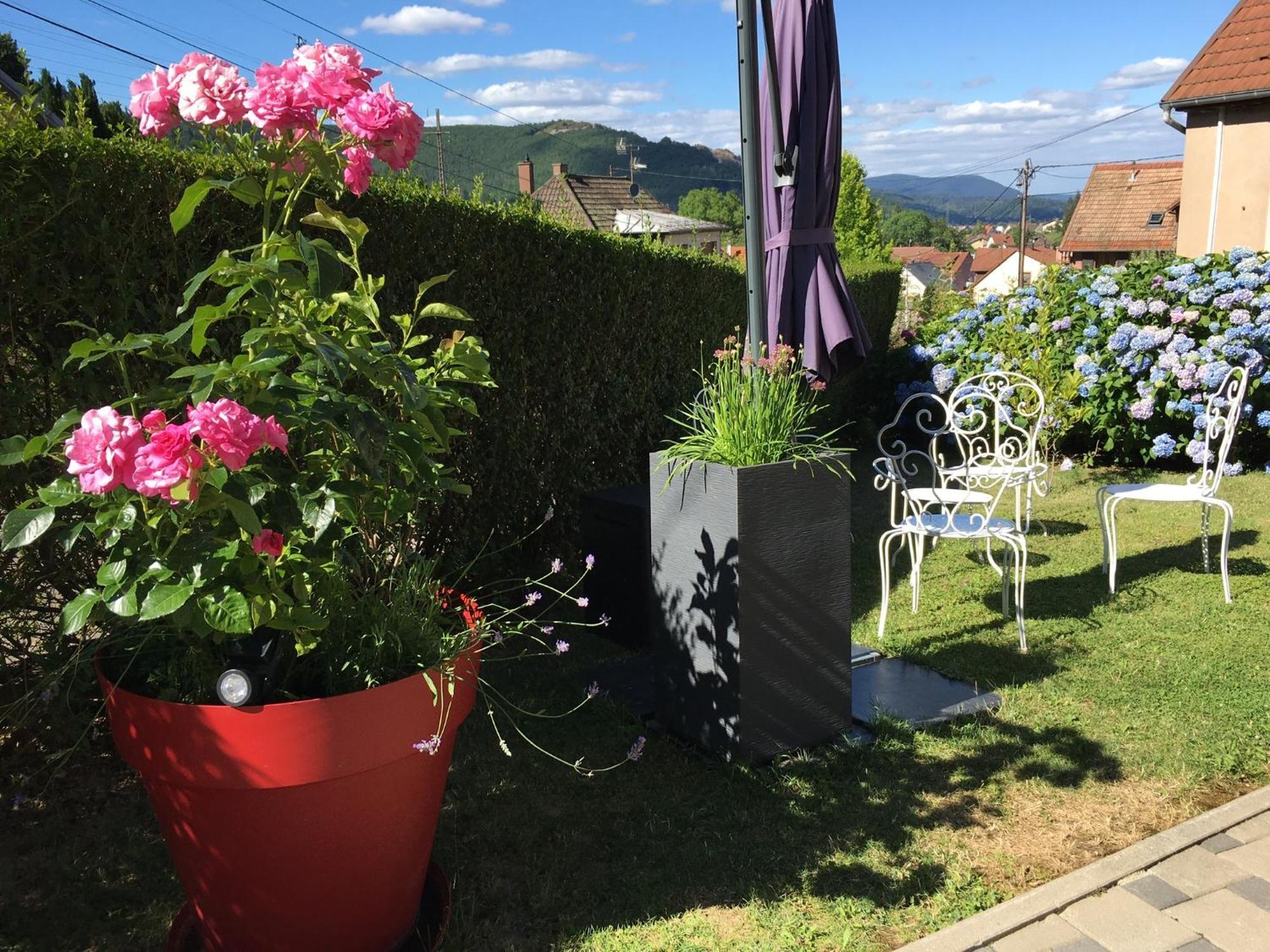 Apartamento Les Magnolias En Alsace - Meuble De Tourisme 3 Etoiles Barembach Exterior foto
